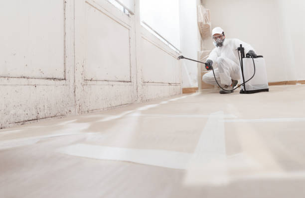 24/7 Emergency Mold Removal experts in McKinney, TX